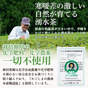鹿児島県湧水町産！栽培期間中農薬・化学肥料不使用！湧水煎茶ティーバッグ 計40個(20個×2袋) 国産 九州産 鹿児島県産 茶葉 お茶 茶 日本茶 緑茶 煎茶 ティーバッグ ギフト 贈答 プレゼント 贈り物 【神田茶園】_y519