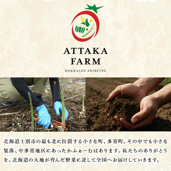 【A7083】＜特別栽培・期間限定＞北海道士別市産 極太グリーンアスパラ (L～3Lサイズ混合・500g) 【2026年5月以降順次発送】野菜 太い 極太 アスパラ アスパラガス グリーンアスパラ 北海道 北海道産 国産 旬 産地直送 【あったかふぁーむ】