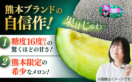 【先行予約】  山鹿の恵み! 匠の育てた　肥後グリーン メロン 約2kg以上（約2kg以上×1玉）【きもと農園】[ZFQ002]