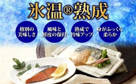 〈山陰大松〉氷温熟成　煮魚・焼魚ギフトセット１０切　ＮＹＧ-10