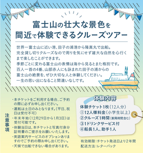 クルージング スタンダードコース 体験チケット 12人 クルーズツアー 土日のみ 年末年始受付可能 富士山の壮大な景色 雄大な自然 田子の浦港 隆真丸 完全貸し切り 一生の思い出 静岡県 富士市 [sf001-184]