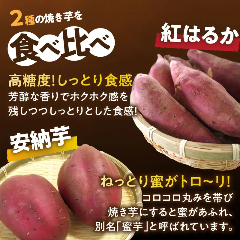 冷やし焼き芋(安納芋・紅はるか) 合計2kg さつまいも イモ 野菜 国産_T016-0055