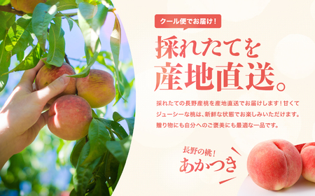長野県産 桃 あかつき 秀品 約5kg〈2026年7月中旬～8月中旬発送〉| 長野県 飯田市