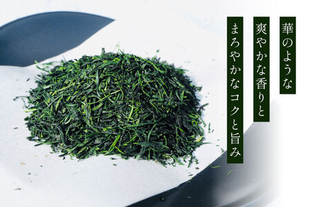 お茶 緑茶 ［第73回全国茶品評会-農林水産大臣賞受賞-］そのぎ茶 (極上) 「月の香」100g 3袋入り 総計300g [中山製茶園 長崎県 東彼杵町 hs42bag620001]