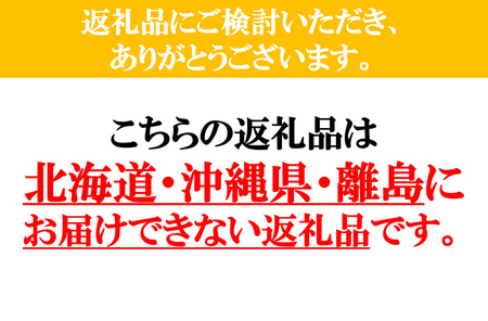 【6月～2月出荷】産地直送！旬の高原野菜セット(北海道・沖縄県・離島は配送不可) 長野 信州 無農薬 旬 季節 新鮮 詰合せ 直送 先行予約＜出荷時期2026年6月17日以降出荷開始～2027年2月28日出荷終了＞