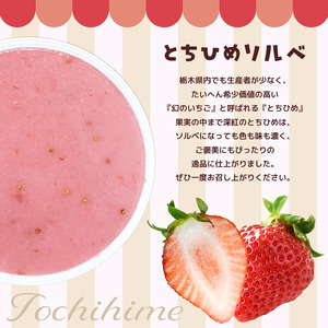 いちごジェラート(とちひめソルベ、とちあいかソルベ、ミルキーベリーソルベ)6個入り箱