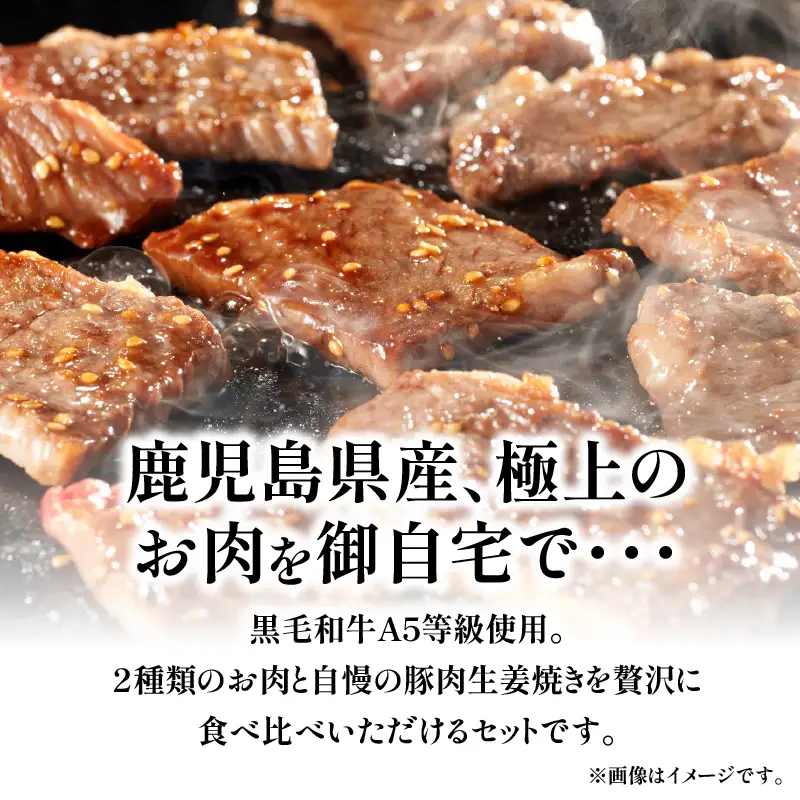 【10営業日以内に発送】黒毛 和牛 味比べ と 生姜焼き の セット K265-006 スピード配送 最短 すぐ届く お急ぎ