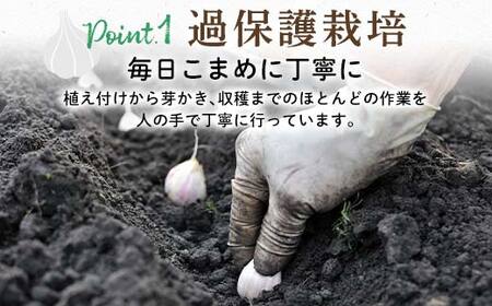 FK7-0180_【先行予約】嘉島町産 乾燥にんにく500g