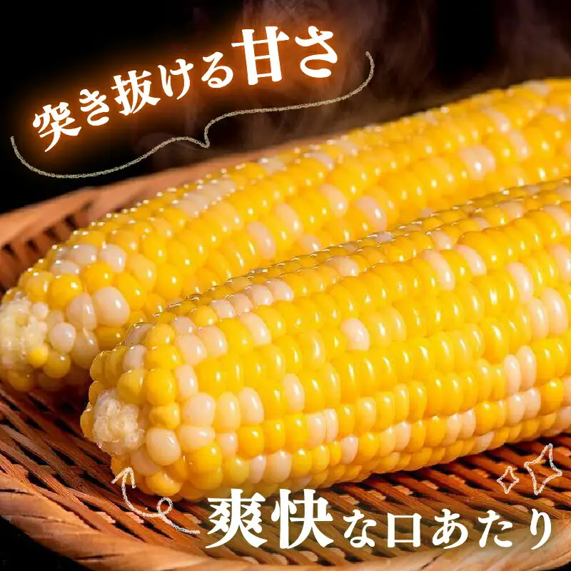 【2026年先行予約 / 数量限定 とうもろこし】フルーツコーン イエロー種 5本 とうもろこし