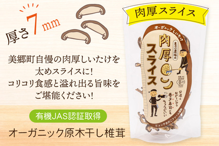 しいたけ 原木 肉厚 スライス 干し 椎茸 20g [HUTTE 宮崎県 美郷町 31ao0022]