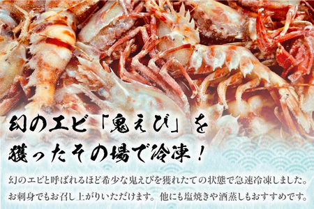 希少！鬼えび 700g前後 冷凍 エビ えび 56-13