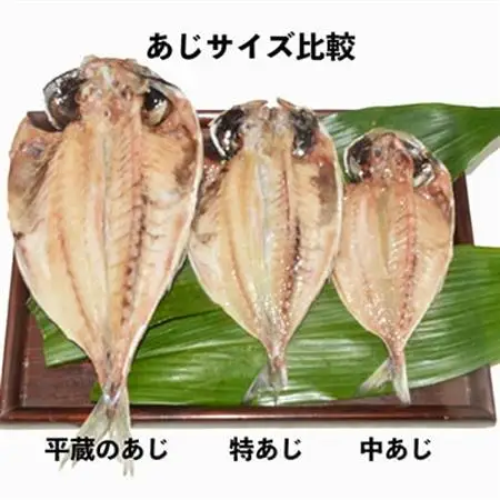 干物セット【特トロあじ10枚セット】　伊豆・伊東のひもの詰め合わせ　静岡県伊東_魚介・海産物  鮮魚 _【配送不可地域：離島】【1607078】