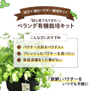 初心者も安心「並盛り」パクチー栽培キット／Fis-B05 パクチー 趣味 ガーデニング 家庭菜園 園芸 ベランダ菜園 プランター 種 種子 プロ仕様の肥料 培養土 トムヤムクン タイ料理