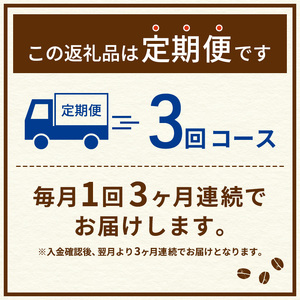 定期便3ヶ月　ネスカフェ　エクセラ　ボトルコーヒー　ゼロ　900ml×24本　珈琲 アイスコーヒー 豊かな香り すっきり 飲みやすい 島田市 静岡県