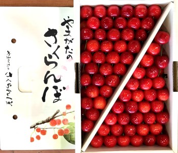 【2026年発送】「秀品」さくらんぼ佐藤錦1kg（2L玉・化粧箱・手詰）_H040(R8)