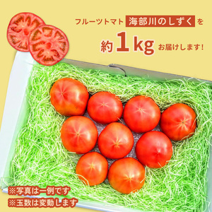 フルーツトマト「海部川のしずく」約1kg トマト とまと tomato