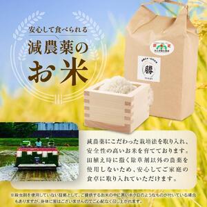 三重県産減農薬コシヒカリ 4キロ（2キロ×2） ／ 米  精米 お米 人気 