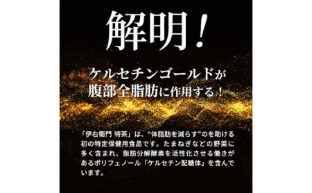 お茶 定期便 2ヶ月 伊右衛門 特茶 500ml × 24本 サントリー 緑茶 ドリンク 定期 2回