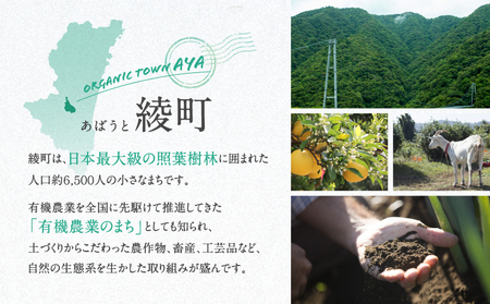 【返礼品なしの寄附】宮崎県綾町 ＜自然生態系農業に関する事業を応援＞ 1,000円 寄附のみ 応援寄附 寄付  返礼品なし 返礼品ナシ_0000-011
