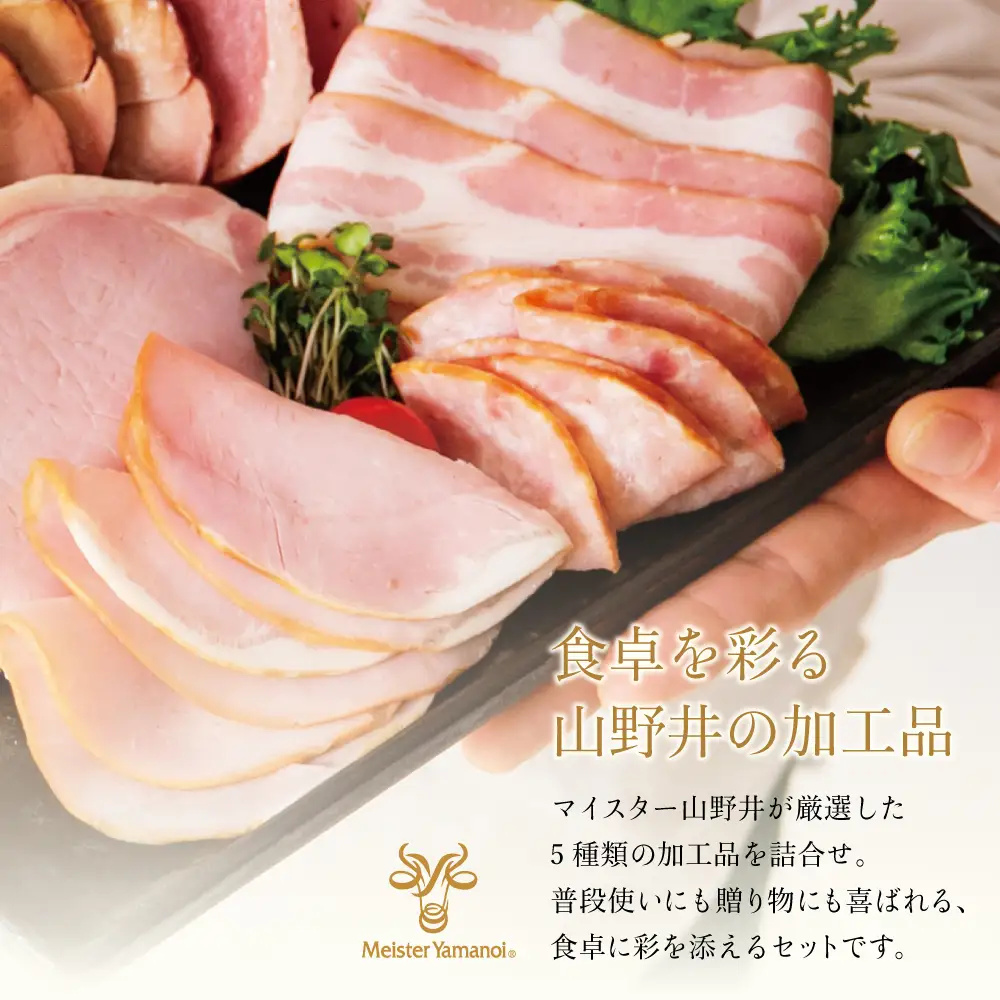 【マイスター山野井】ハム・ソーセージ 5種 詰合せ 計18P ウインナー ベーコン ハム スライス お取り寄せ 肉 豚肉 ご当地 鹿児島 グルメ ロースハム オードブル 惣菜 おかず おせち パーティー 手土産 ギフト 贈り物 贈答用 ご贈答 詰め合わせ セット 冷蔵 南さつま市