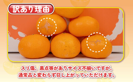【11/20～12/20発送予定】 みかん 訳あり 完熟 大玉みかん 10kg 杉本屋 B010-143017
