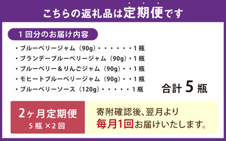 【2ヶ月定期便】きび糖 仕込みの ブルーベリー ジャム 5種 セット 各90g×1瓶 ブルーベリージャム りんごジャム 瓶詰め 瓶