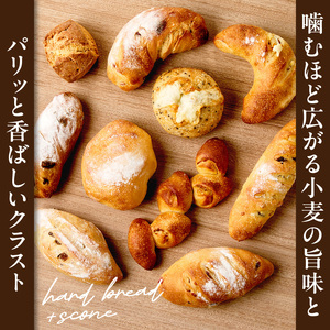【全2回定期便】選べる回数！自家培養酵母で焼くハード系パン9種＋スコーン1種セット！ 065-04-T01