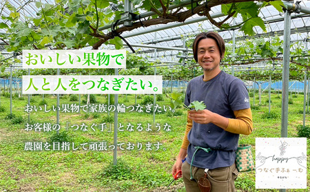 【定期便2回】デラウエア 約2kg 10房～16房＆シャインマスカット 約700g 1房 FY25-004