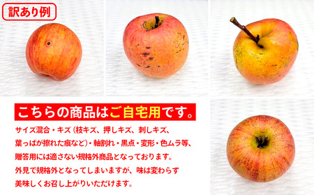 ★数量限定★【ご自宅用】山形産 サンふじりんご 約15kg (39～84玉) FZ26-747