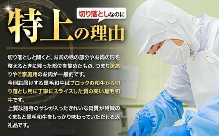 黒毛和牛 ウデ・モモ 特上 切り落とし 1000g 500g×2
