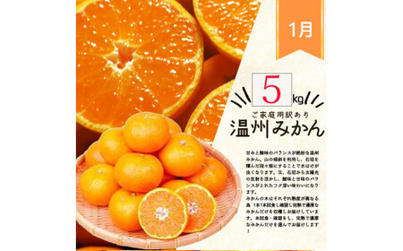 定期便【全4回】ご家庭用柑橘セット みかん 不知火 せとか 清見 【tkb412】