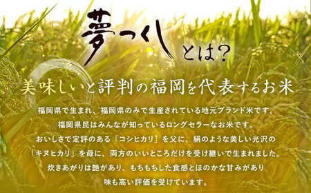 夢つくし 玄米 PREMIUMパック 160g×24パック
