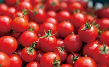 高森町産 ミニトマトジュース 500ml×6本 計3L トマトジュース 野菜ジュース 果汁100％ 無塩 無添加 飲み物 飲料