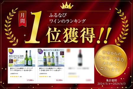 ワイン 勝沼ぶどうの丘推奨スパークリングワイン辛口2本セット B2-604