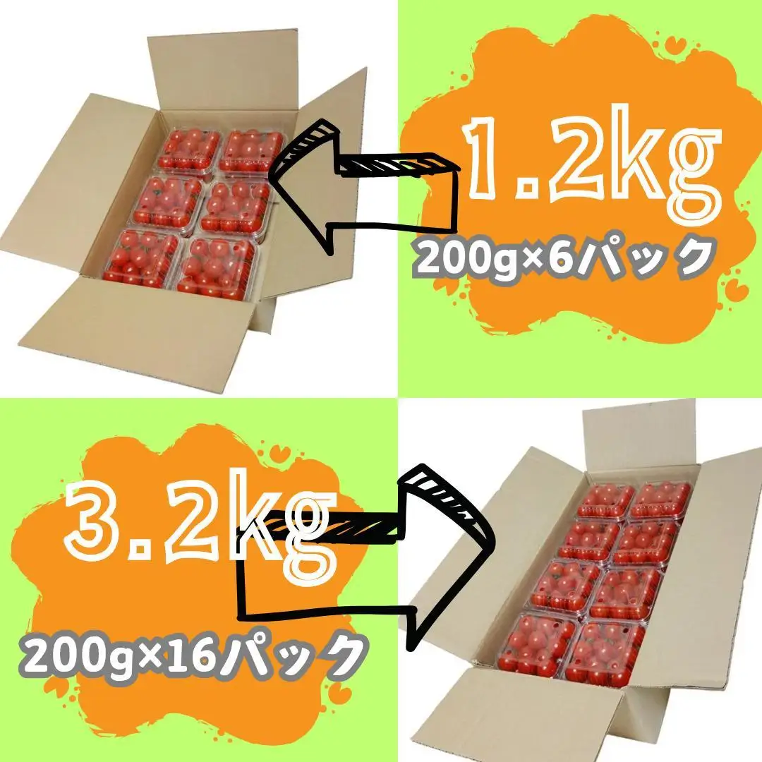 ミニトマト1.2kg (200g×6パック詰め）
