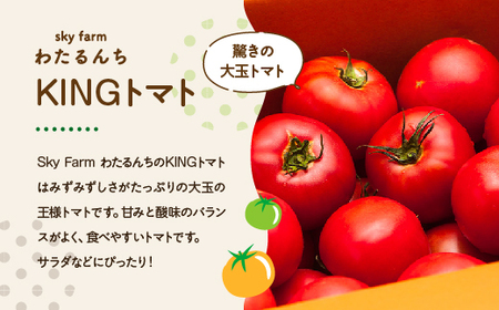 KINGトマト・プチぷよイエロージュース 2本セット　【11218-0891】