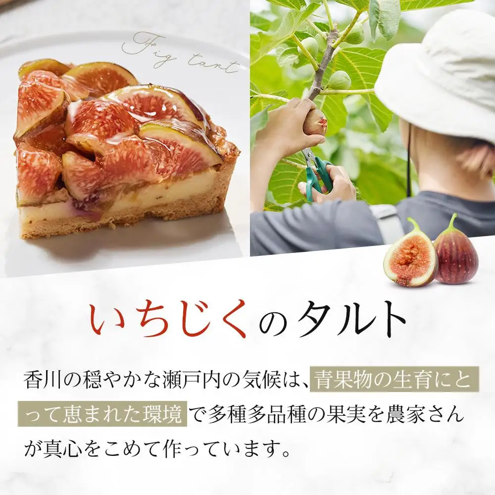 かにわしタルト店のはざまいちじくと焼きカスタードのタルト(15cm 1ホール)