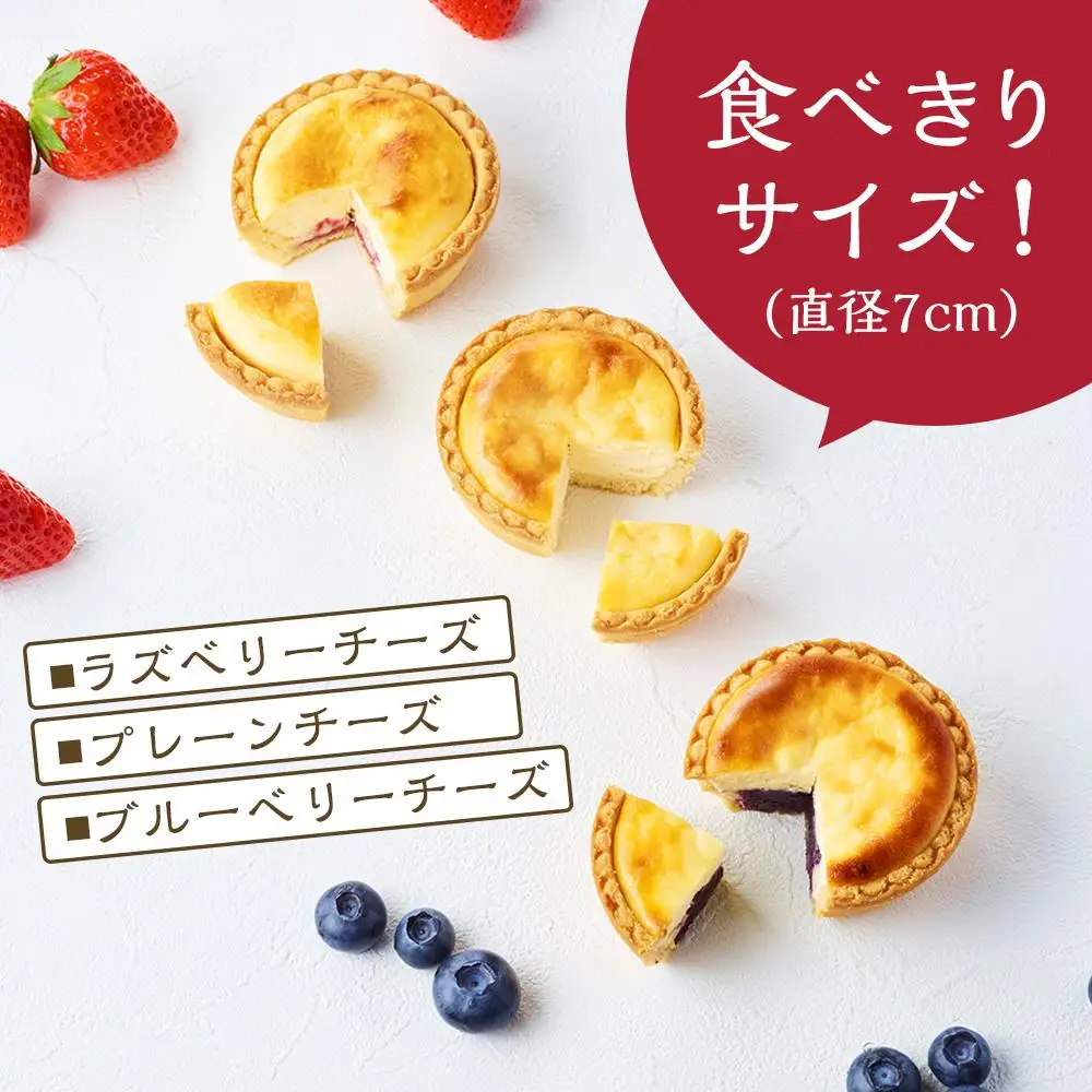かにわしタルト店の食べ方選べる魔法のチーズタルト16個入り（4個入り×4箱）