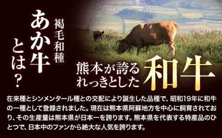 熊本 あか牛 切り落とし 1.1kg カルビ 熊本県産 肉 和牛 牛肉 冷凍《7-14日以内に出荷予定(土日祝除く)》｜ブランド牛肉 特産品牛肉 熊本県牛肉 あか牛 牛肉  