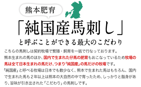 馬刺し 上赤身 ブロック 国産 熊本肥育 冷凍 生食用 たれ付き(10ml×6袋) 100g×6セット《3-7日以内に出荷予定(土日祝除く)》肉  絶品 牛肉よりヘルシー 馬肉 予約 平成27年28年 農林水産大臣賞受賞  人気馬刺し  人気返礼品 熊本馬刺し ブランド馬刺し 