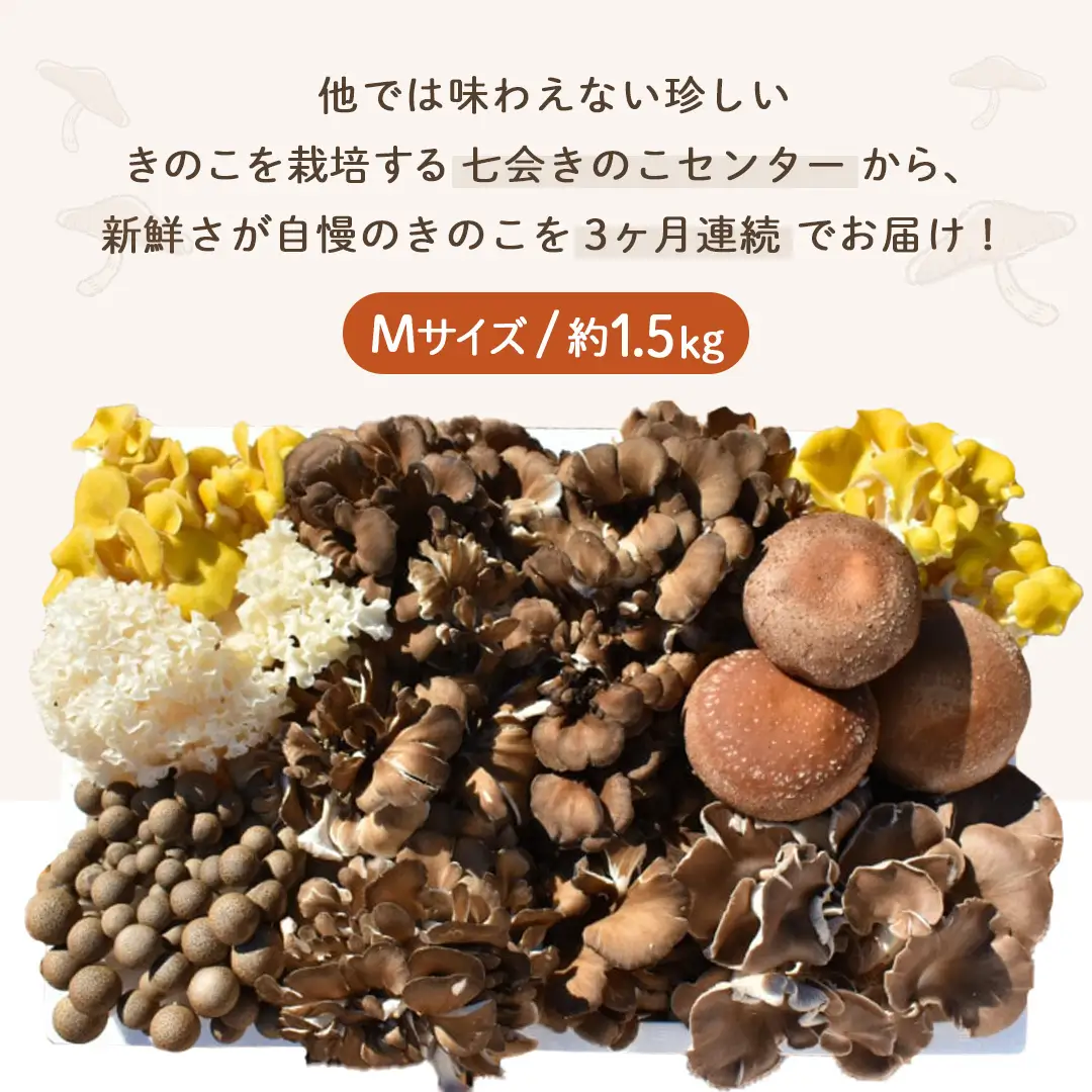 《 ３ヶ月 連続定期便 》 きのこ の 詰め合わせ Mサイズ 約1.5kg （茨城県共通返礼品 城里町） 定期便 キノコ 舞茸 あわび茸 たもぎ茸 しいたけ 花びら茸 セット 鍋 炒め物 [CX006sa]