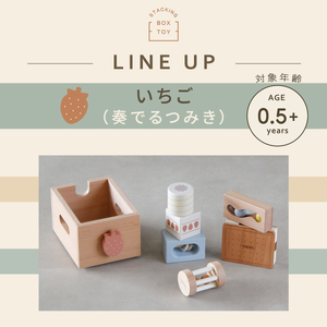 HOPPL（ホップル） スタッキングボックストイ いちご（奏でるつみき） メッセージプレートC