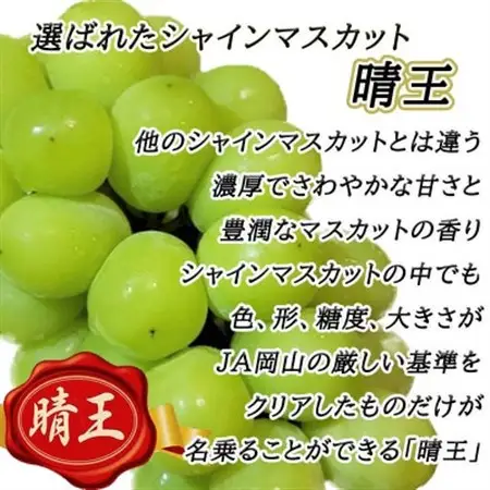 【2026年8月下旬以降順次発送】岡山名産【晴王】シャインマスカット1房約650g秀品!【配送不可地域：離島】【1612175】