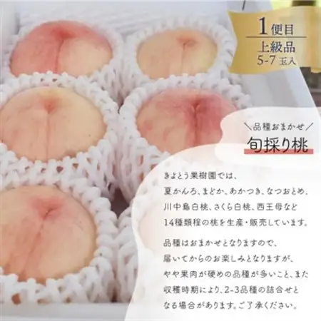 【発送月固定定期便】量より質! 桃と葡萄と梨の上級品が届く、果樹園の人気定期便!(岡山県産)全3回【配送不可地域：離島・北海道・沖縄県】【4066247】