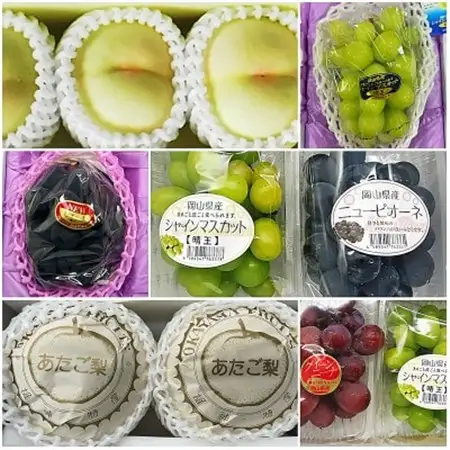 【発送月固定定期便】岡山県産 フルーツ定期便〈お一人様向け〉全6回【配送不可地域：離島・北海道・沖縄県】【4066369】