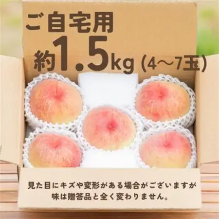 宝石のように磨かれた桃 やまなし内藤農園の白桃【ご自宅用】約1.5kg(4～7玉)【配送不可地域：離島】【1608938】