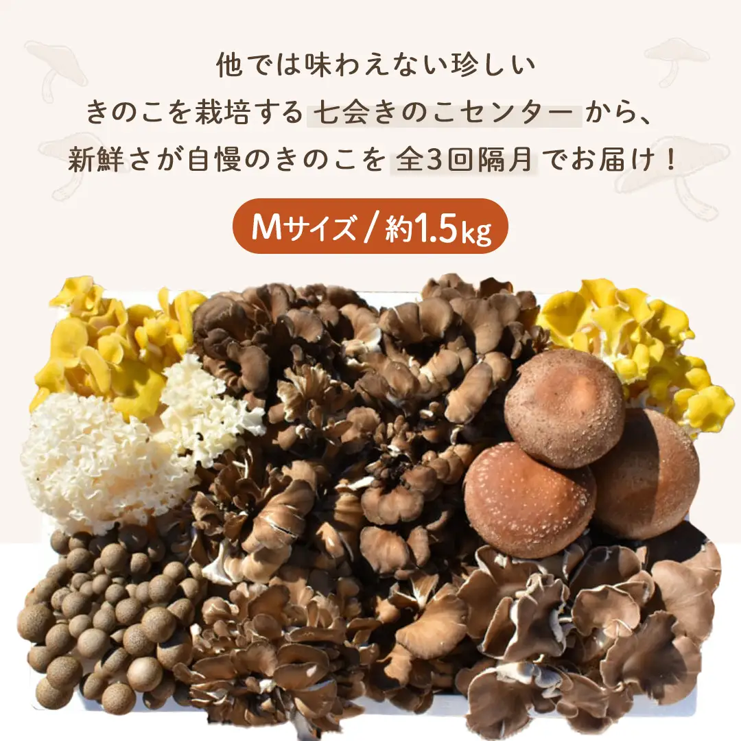 《 全３回 隔月定期便 》 きのこ の 詰め合わせ Mサイズ 約1.5kg （茨城県共通返礼品 城里町） 定期便 キノコ 舞茸 あわび茸 たもぎ茸 しいたけ 花びら茸 セット 鍋 炒め物 [CX009sa]