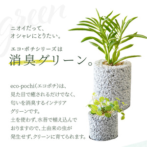 S060-110_【ふるさと納税限定】初心者の人にもお勧め！エコ・ポチ　トライアルセット