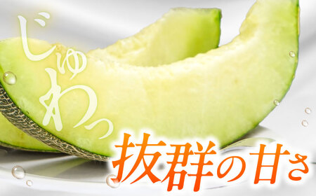 【2026年7月初旬-発送】グリーンメロン 2玉 約4kg / メロン めろん 果物 フルーツ / 南島原市 / うえだメロン園[SAD010]