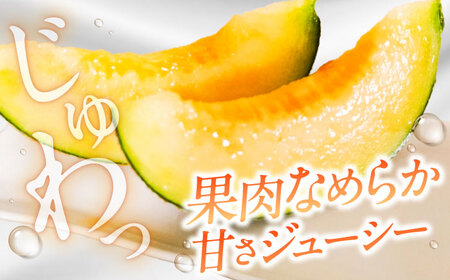 【2026年7月下旬-発送】アールスメロン 2玉 約3.2kg / メロン めろん 果物 フルーツ / 南島原市 / うえだメロン園[SAD011]